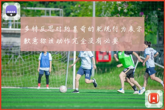 多特反思对约基奇的犯规行为表示歉意称该动作完全没有必要